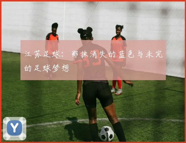 江苏足球：那抹消失的蓝色与未完的足球梦想